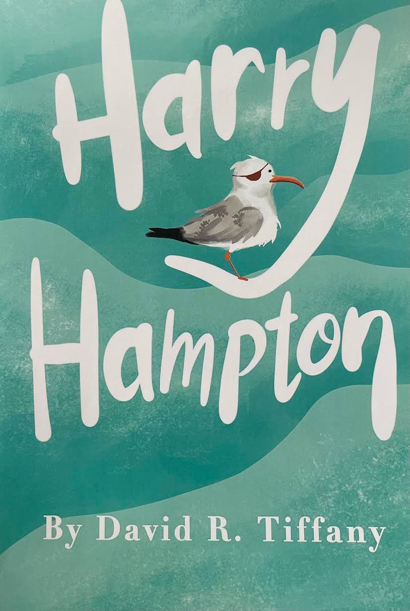 Good for ages 8 and up, “Harry Hampton” is a 68-page paperback chapter book about the playful and relatable adventure of an injured seagull and a classroom of fourth graders.